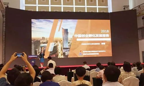 創(chuàng)業(yè)孵化 有“創(chuàng)”更得有“孵”，論孵化器管理服務(wù)的核心價(jià)值