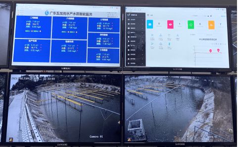 花都區 科技興漁啟新程，人工智能與“芯片魚”引領智慧漁業探索